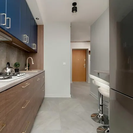 Apartment Wieckowskiego Comfortable In Center By Renters Lodz
